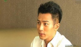 刘恺威老爹爆料视频大全,揭秘娱乐圈不为人知的一面